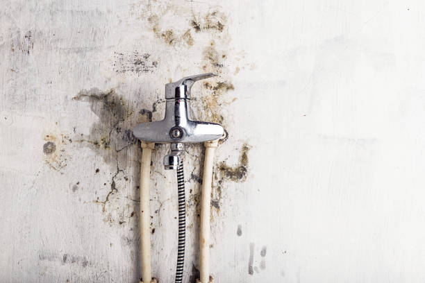 Best Post-Flood Mold Remediation in Independent Hill, VA