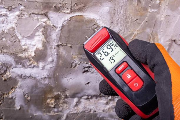 Best Crawl Space Mold Remediation in Independent Hill, VA